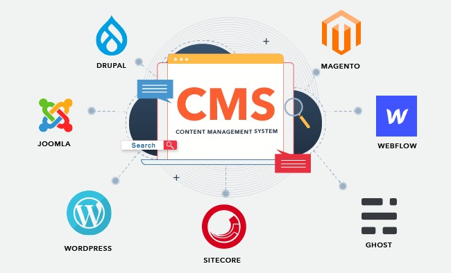 How Does CMS Impact Your Business?